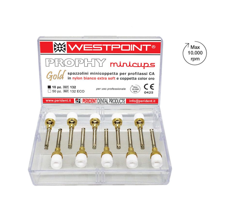 Prophylaxis brushes Perident